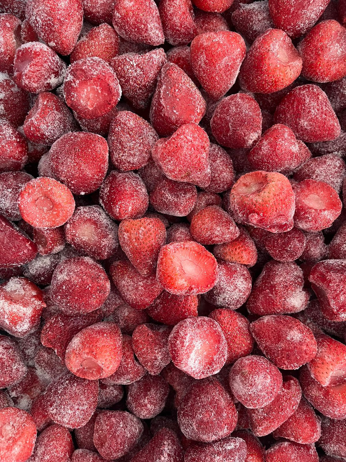 FresasIQF-Frutos Chávez