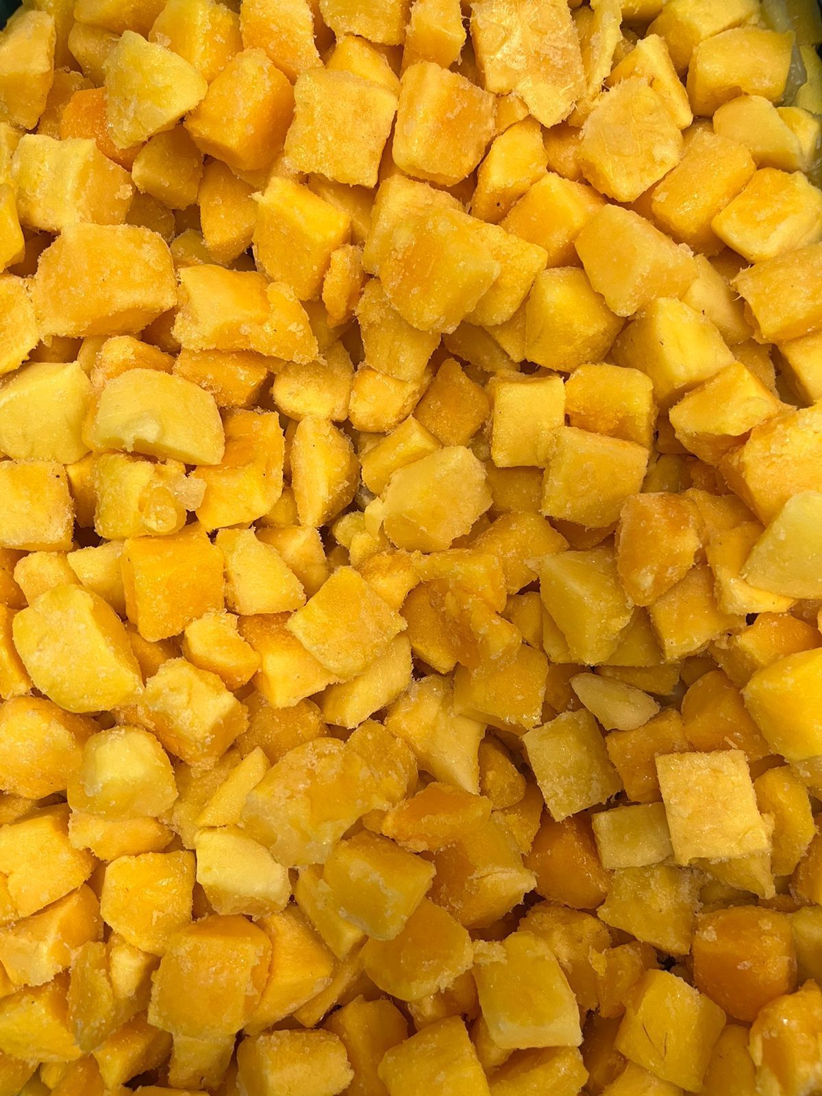 MangoIQF-Frutos Chávez